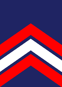 Fichier:4 Sergent Major.png