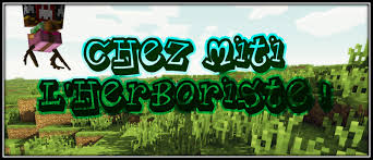 Fichier:Commerce miti.jpg