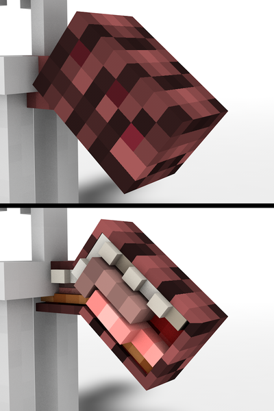 Fichier:Fourmi de Myr - Abdomen arrière femelle.png